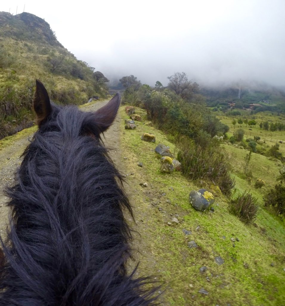 Horseback riding in El Cajas 