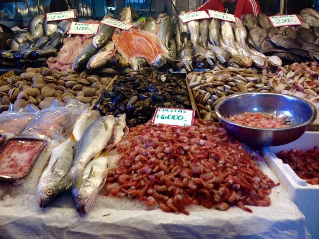 Fresh fish found in the market daily