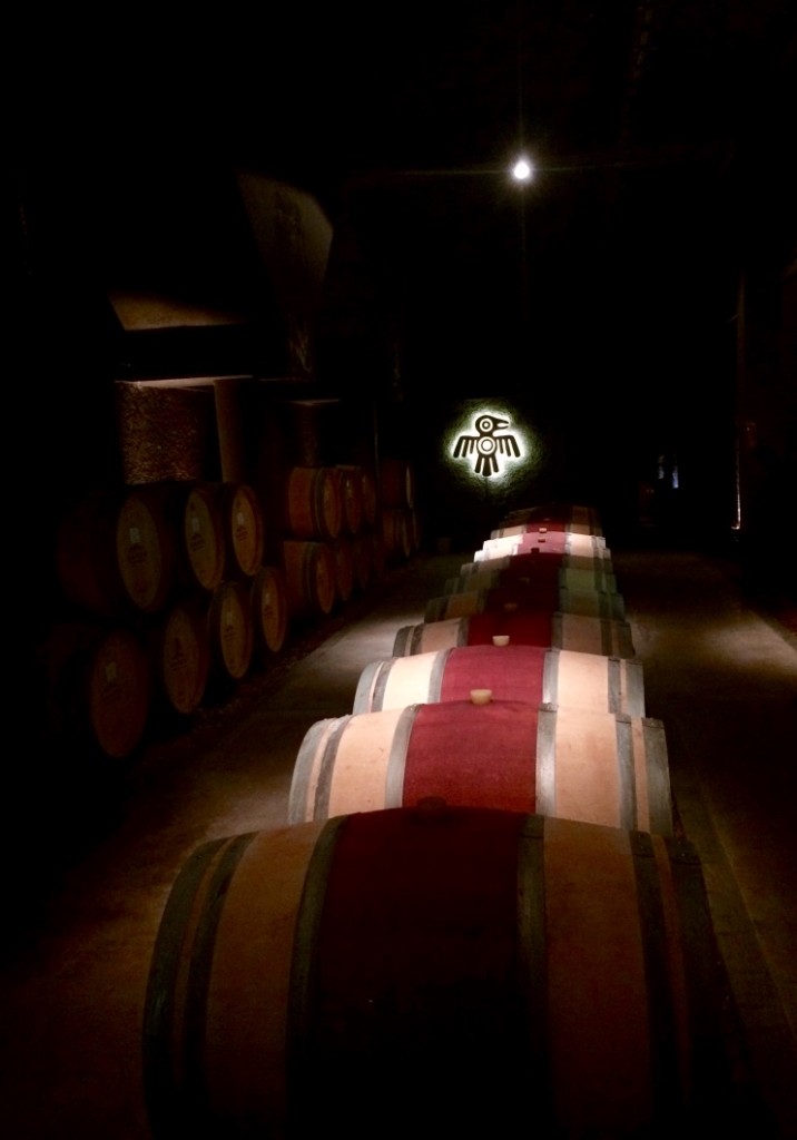 Wine cellar at Kaiken Winery