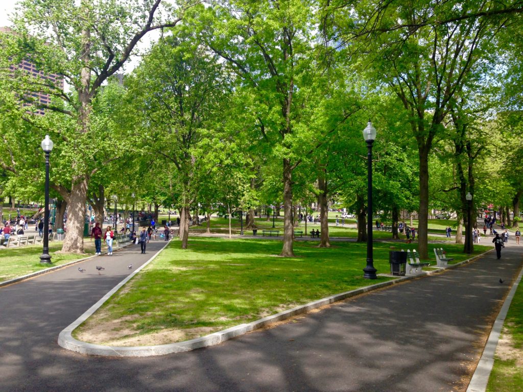 Boston Common Park in Boston