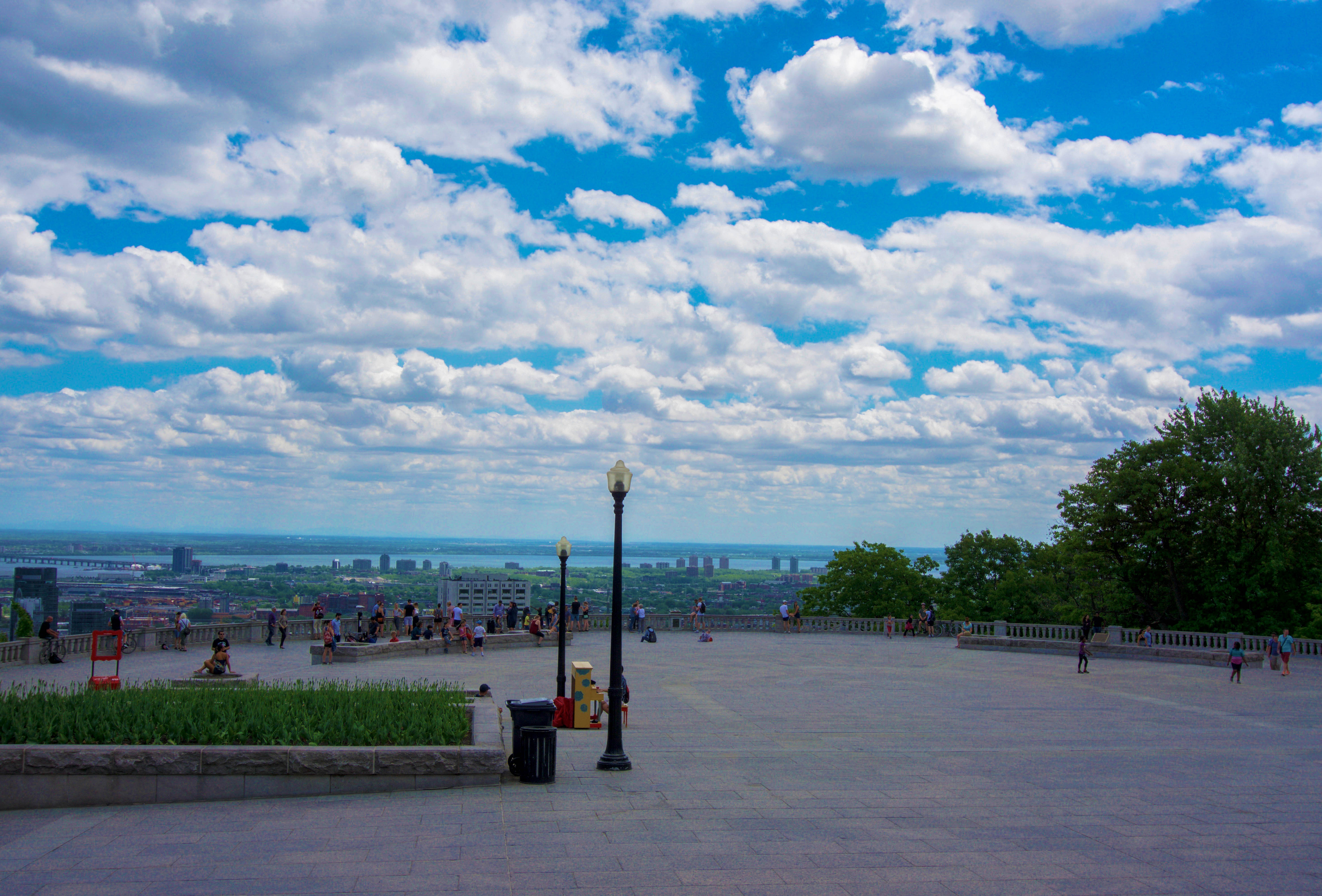 Made it to the top of Mount Royal
