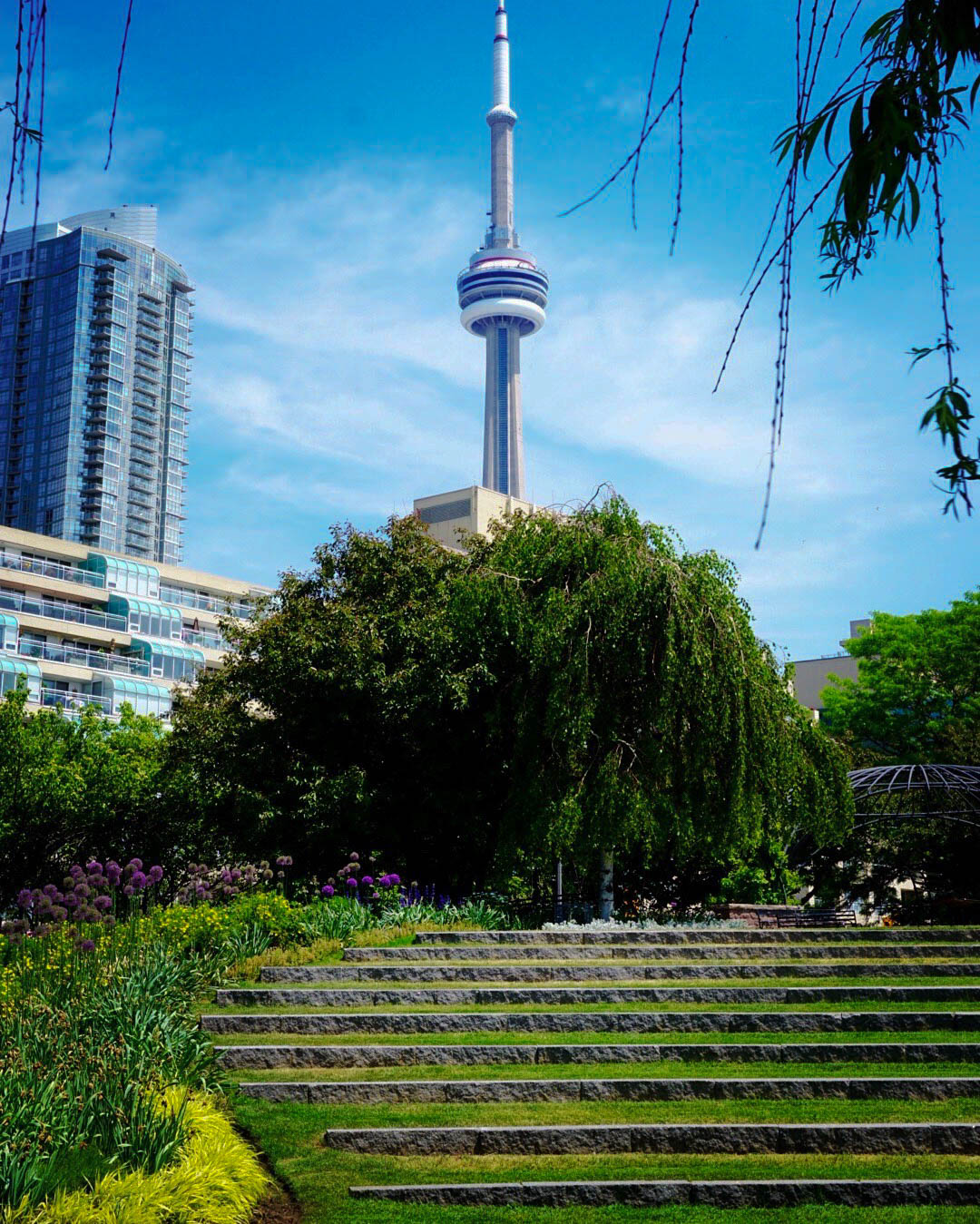 Beautiful views from the Toronto Music Garden 