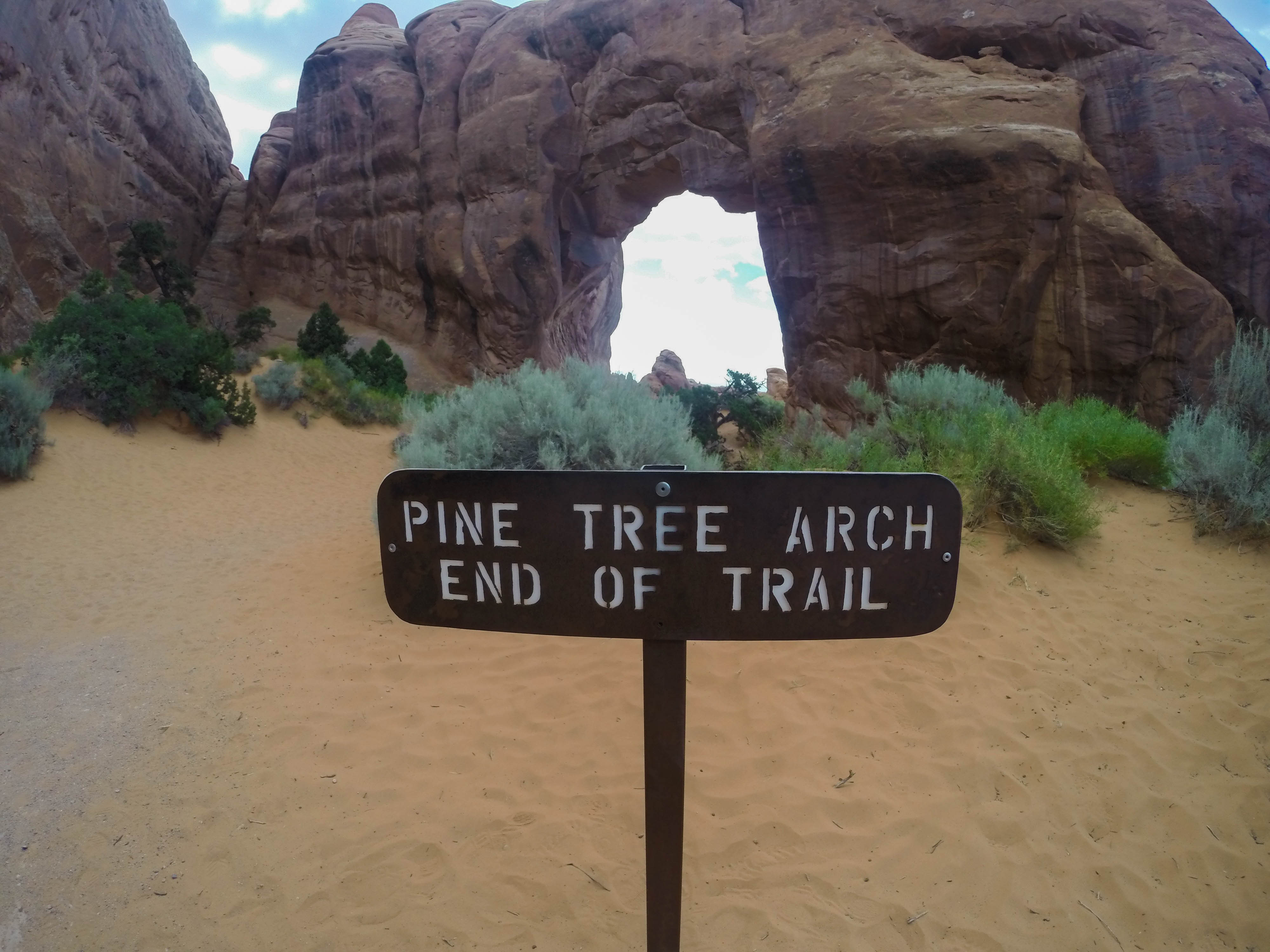Pine Tree arch Trail