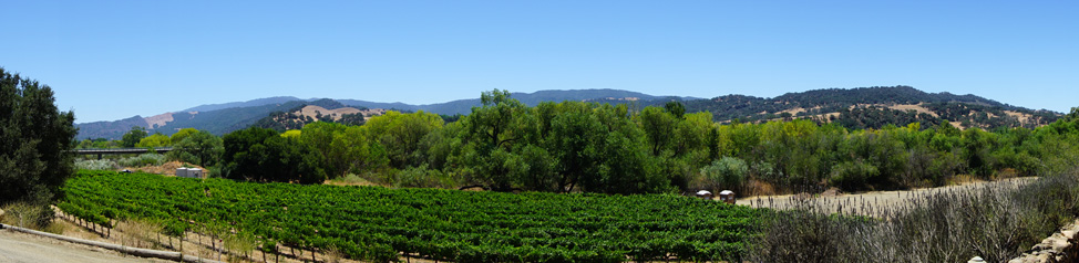 Stay another day to enjoy the wineries nearby! - Solvang
