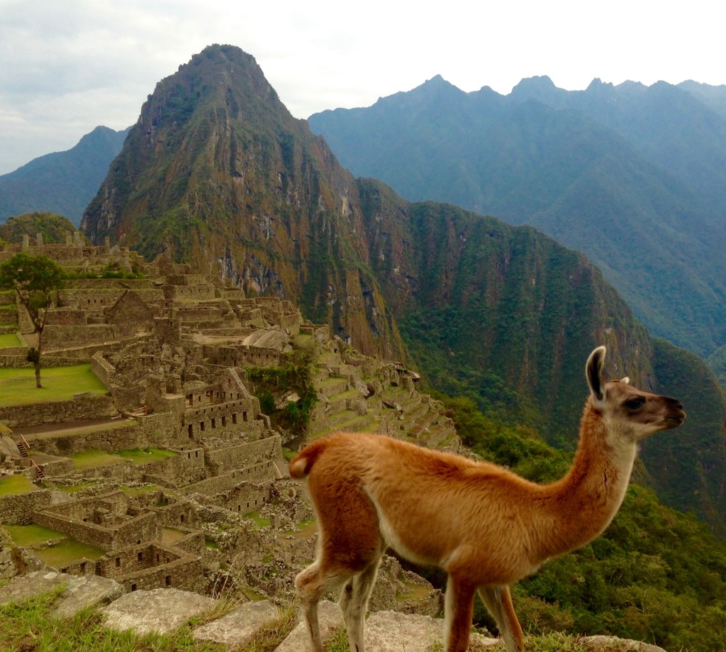 Getting High and Going Broke: Cusco, Salkantay Trek, Machu Picchu