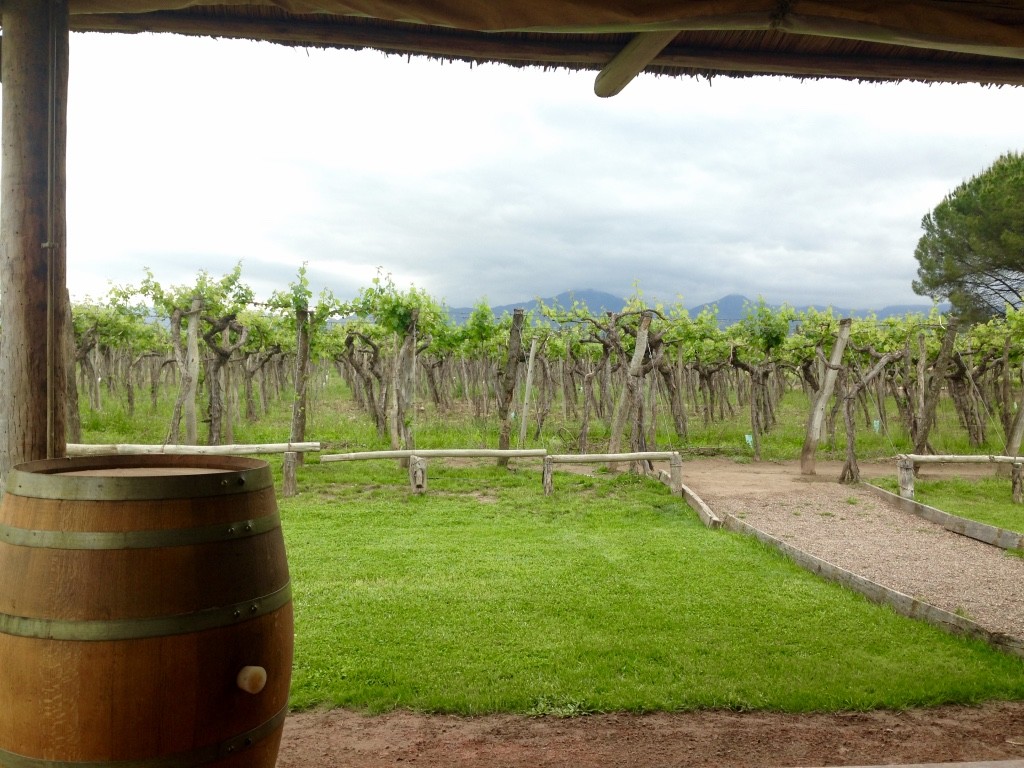 A Little Wine in the Countryside: Mendoza (Lujan de Cuyo)
