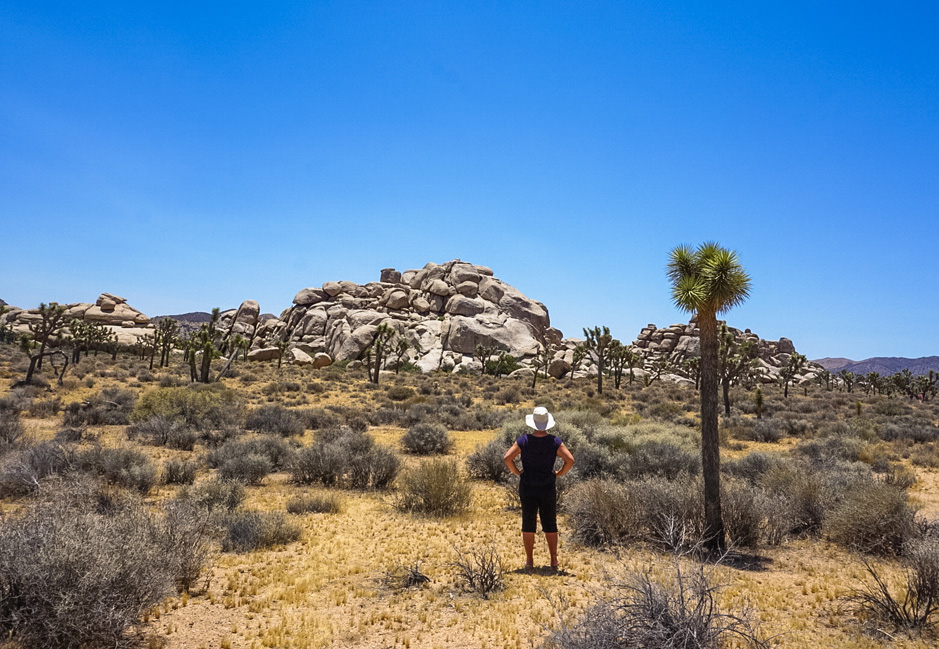 How We Survived Joshua Tree During a Summer Heat Wave